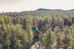 6653 W Ridge Rd, Pine, AZ 85544 - Photo 32