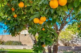 1520 W Aster Dr, Phoenix, AZ 85029 - Photo 58