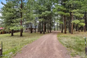 24 County Road 2065 --, Alpine, AZ 85920 - Photo 30