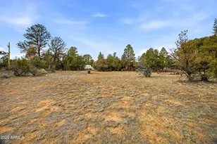 3113 Whitetail Way, Overgaard, AZ 85933 - Photo 24