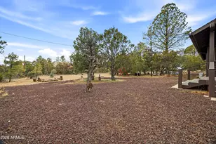 3113 Whitetail Way, Overgaard, AZ 85933 - Photo 22
