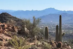 13394 E Del Timbre Dr, Scottsdale, AZ 85259 - Photo 70