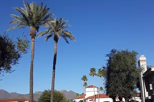 10115 E Mountain View Rd, Scottsdale, AZ 85258 - Photo 14