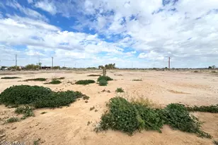 1309 S 393rd Ave, Tonopah, AZ 85354 - Photo 36