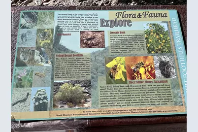 1024 E Frye Road #1060, Phoenix, AZ 85048 - Photo 46