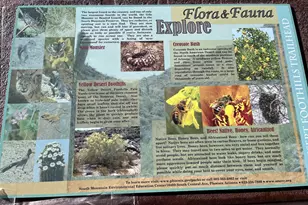 1024 E Frye Rd, Phoenix, AZ 85048 - Photo 46