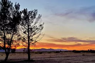 8255 N Fort Grant Rd, Willcox, AZ 85643 - Photo 16