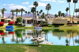 10115 E Mountain View Rd, Scottsdale, AZ 85258 - Photo 40