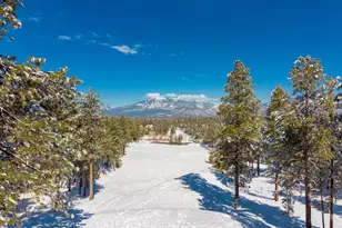 3017 S Tourmaline Dr, Flagstaff, AZ 86005 - Photo 52