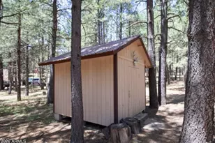 2224 Daisy Trl, Forest Lakes, AZ 85931 - Photo 10