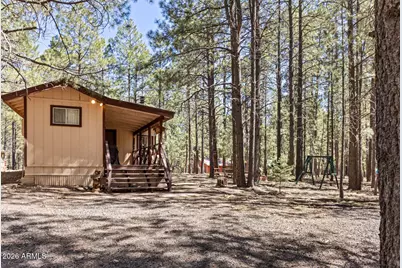 2224 Daisy Trail, Forest Lakes, AZ 85931 - Photo 22