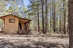 2224 Daisy Trl, Forest Lakes, AZ 85931 - Photo 22