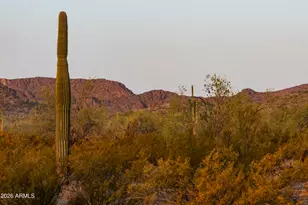 31275 N Crown King Ln, Queen Creek, AZ 85144 - Photo 6