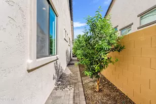 8142 East Jaeger Street, Mesa, AZ 85207 - Photo 40