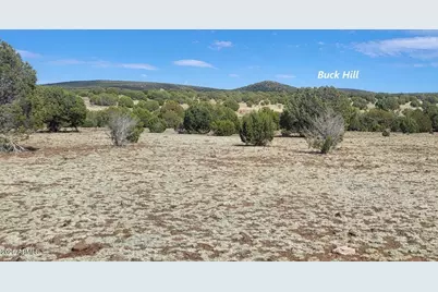 304 Olivas Alone Road #304, Williams, AZ 86046 - Photo 12