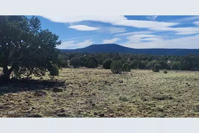 304 Olivas Alone Road #304, Williams, AZ 86046 - Photo 8