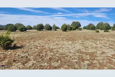 304 Olivas Alone Road #304, Williams, AZ 86046 - Photo 14