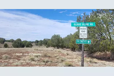 304 Olivas Alone Road #304, Williams, AZ 86046 - Photo 2