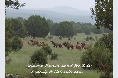 304 Olivas Alone Road #304, Williams, AZ 86046 - Photo 6