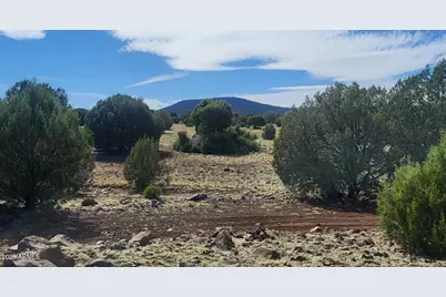 304 Olivas Alone Road #304, Williams, AZ 86046 - Photo 4