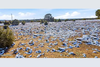 00 Songbird Lane #32, Show Low, AZ 85901 - Photo 4
