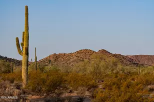 31297 N Crown King Ln, Queen Creek, AZ 85144 - Photo 10