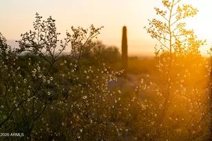 31321 N Crown King Ln, Queen Creek, AZ 85144 - Photo 6