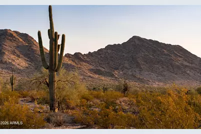 31321 N Crown King Lane, Queen Creek, AZ 85144 - Photo 8