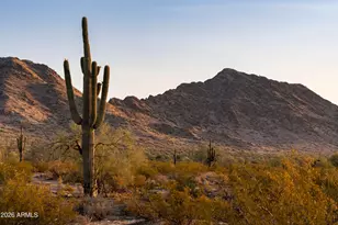 31321 N Crown King Ln, Queen Creek, AZ 85144 - Photo 8