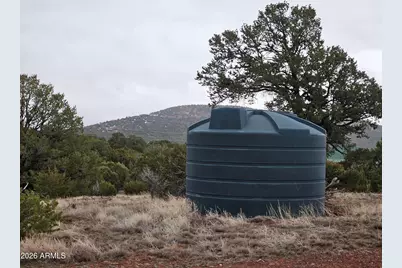 Lot 20 Mountain Pine Road #20, Vernon, AZ 85940 - Photo 10