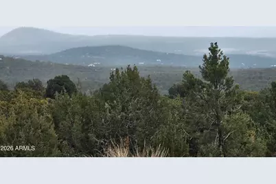 Lot 20 Mountain Pine Road #20, Vernon, AZ 85940 - Photo 6