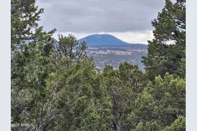 Lot 20 Mountain Pine Road #20, Vernon, AZ 85940 - Photo 2