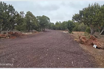 Lot 20 Mountain Pine Road #20, Vernon, AZ 85940 - Photo 16