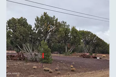 Lot 20 Mountain Pine Road #20, Vernon, AZ 85940 - Photo 14