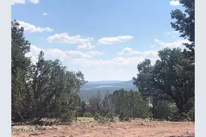 Lot 20 Mountain Pine Road #20, Vernon, AZ 85940 - Photo 22