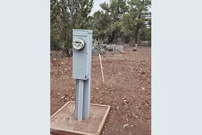 Lot 20 Mountain Pine Road #20, Vernon, AZ 85940 - Photo 8