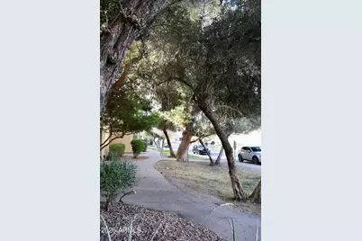 1425 E Desert Cove Avenue #13, Phoenix, AZ 85020 - Photo 4