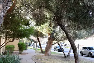 1425 E Desert Cove Ave, Phoenix, AZ 85020 - Photo 4