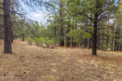 37 N 1330 -- #19, Greer, AZ 85927 - Photo 4