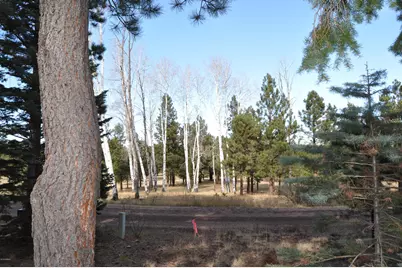 37 N Crn 1330 Road #19, Greer, AZ 85927 - Photo 4