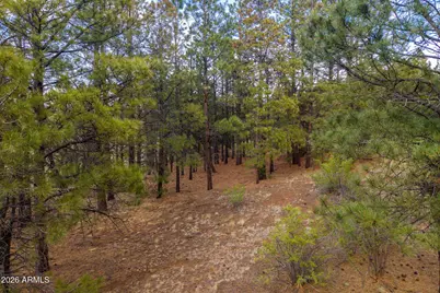 37 N 1330 -- #19, Greer, AZ 85927 - Photo 10