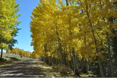 37 N 1330 -- #19, Greer, AZ 85927 - Photo 30