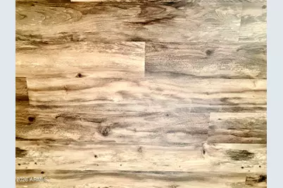 145 W Holstein Trail, San Tan Valley, AZ 85143 - Photo 28