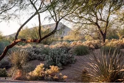 38720 N 104th Street, Scottsdale, AZ 85262 - Photo 2