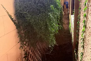 1636 E Villa Theresa Dr, Phoenix, AZ 85022 - Photo 46