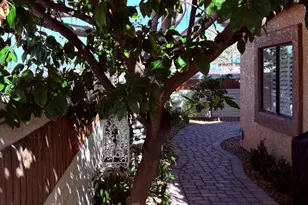 1636 E Villa Theresa Dr, Phoenix, AZ 85022 - Photo 44