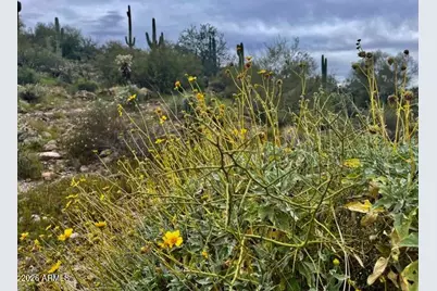 43Xxx N 10th Street #-, New River, AZ 85087 - Photo 44