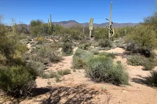 36601 N Mule Train Rd, Carefree, AZ 85377 - Photo 22