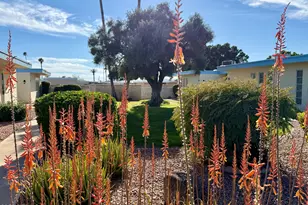 10966 W Coggins Dr, Sun City, AZ 85351 - Photo 26