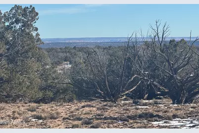 Lot 76 Red Sky Ranch -- #76, Saint Johns, AZ 85936 - Photo 6
